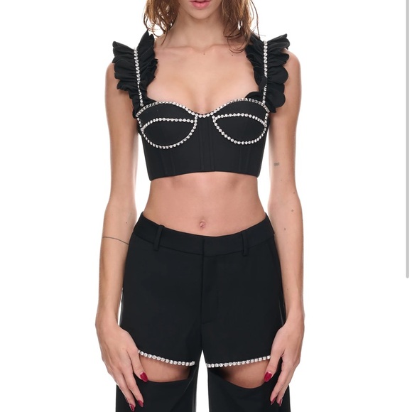 AREA Poplin Bustier NWT - Picture 5 of 5
